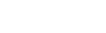 chipchick logo