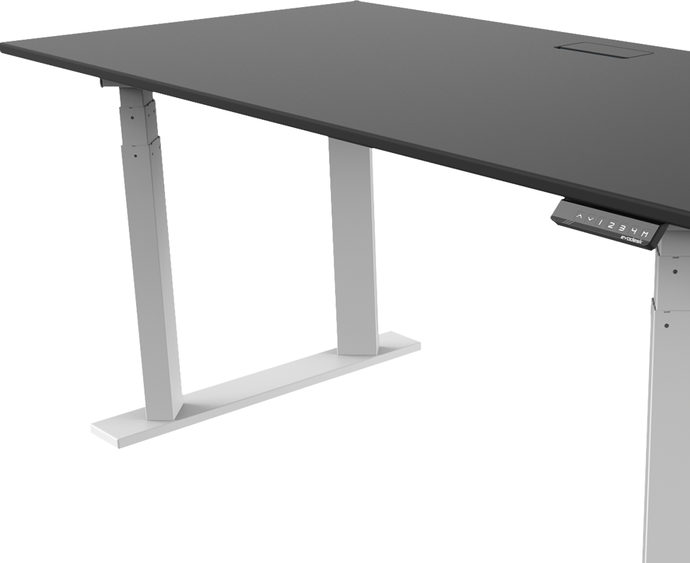 Evodesk Pro Standing Desk